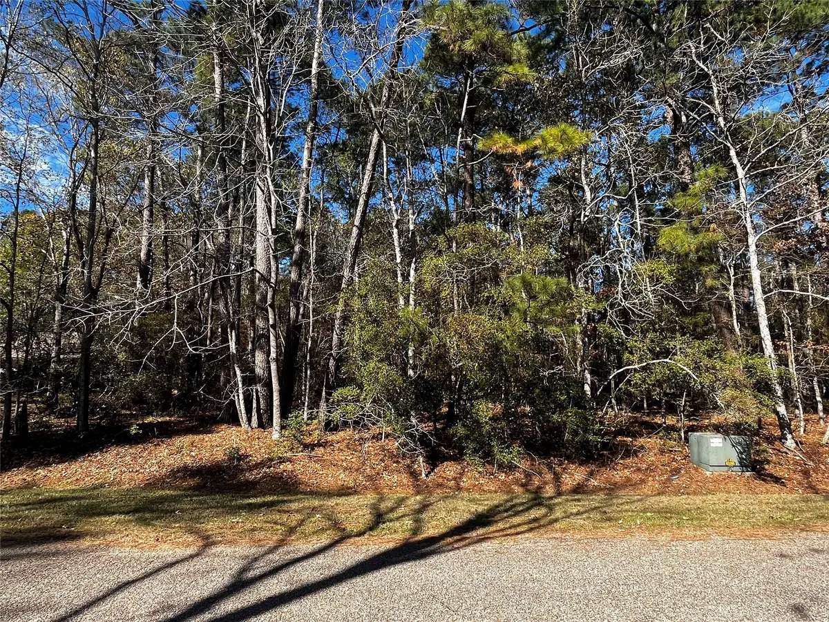 10 Wentworth Lane, Coldspring, TX 77331 - #1