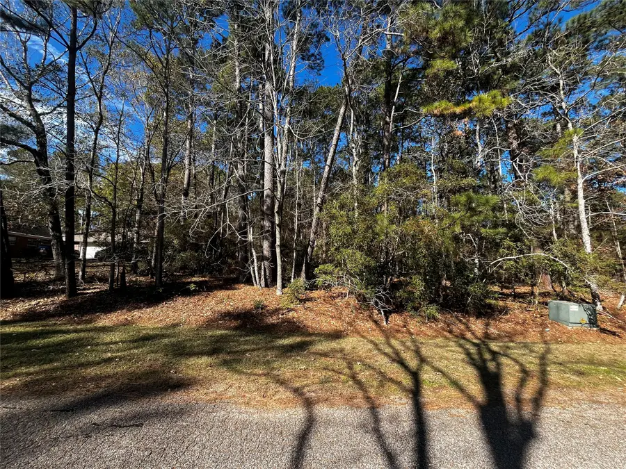 10 Wentworth Lane, Coldspring, TX 77331 - #2