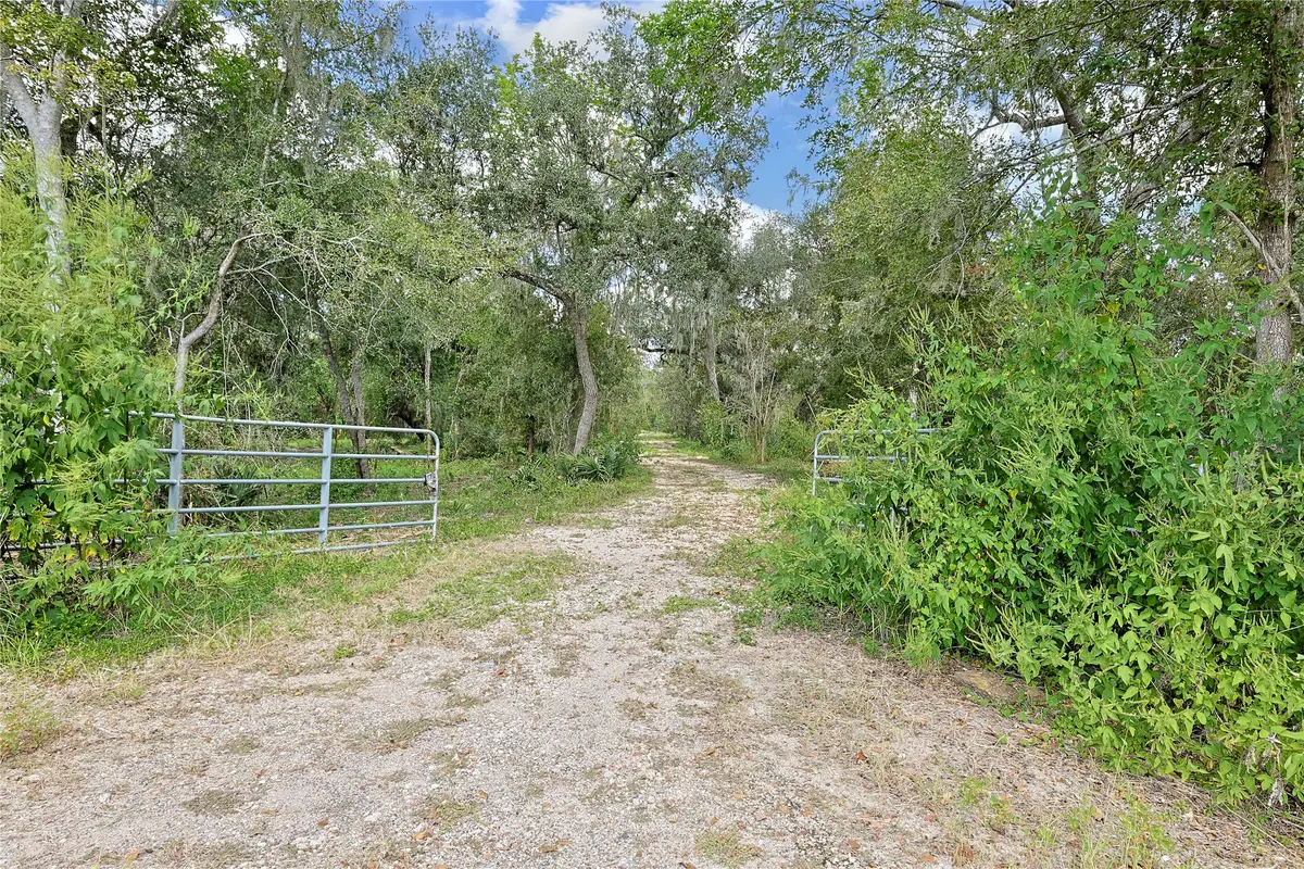 6306 County Road 244, Brazoria, TX 77422 - #1