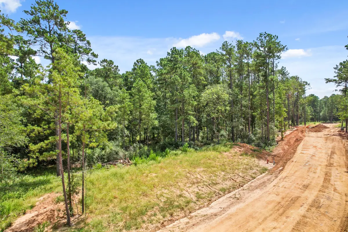4147 Augusta Drive, Montgomery, TX 77316 - #1
