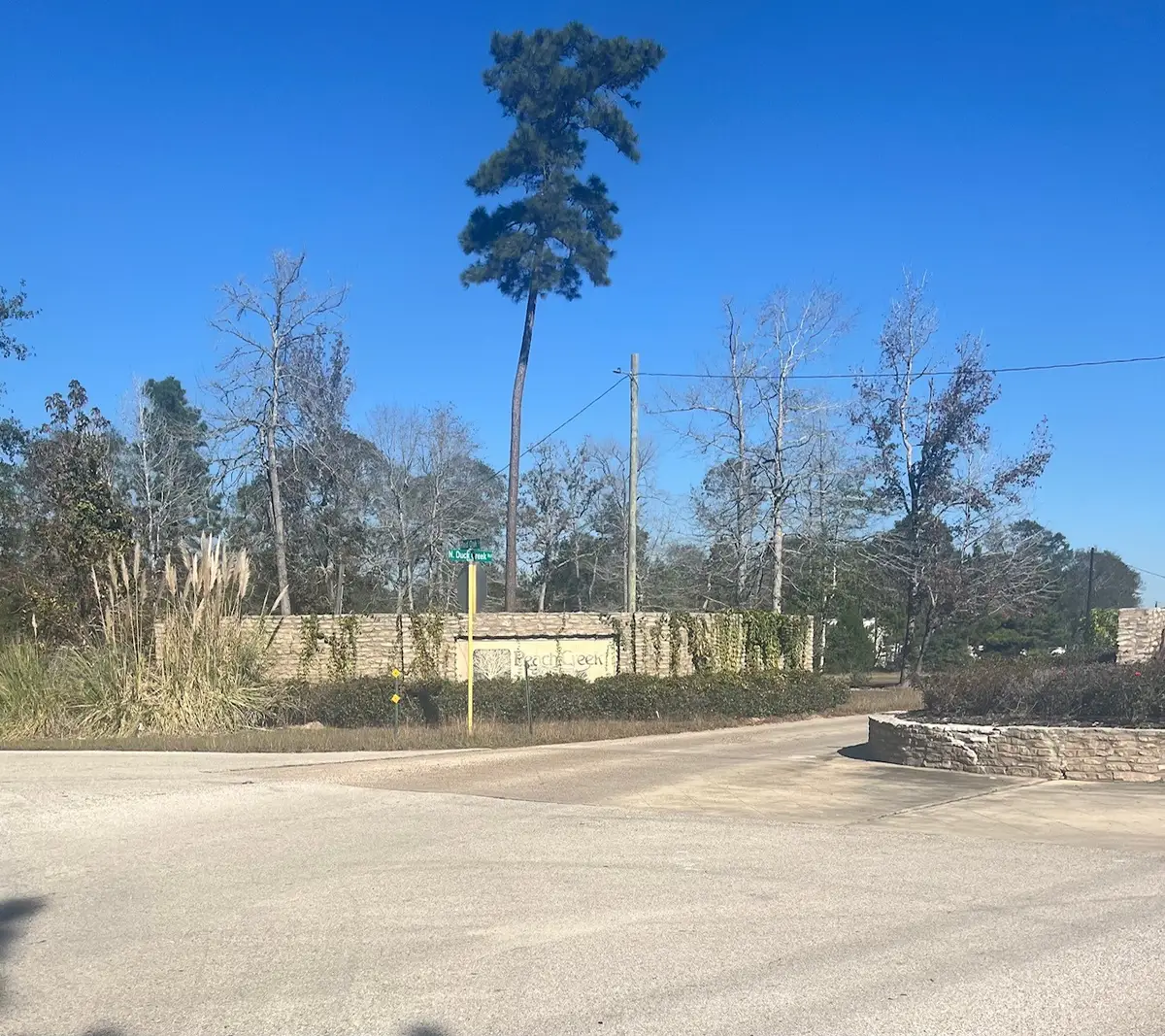 21240 Big Buck Drive, Cleveland, TX 77328 - Image #1