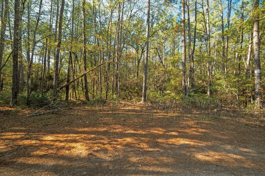 Lot 17 Hackberry Drive, Plantersville, TX 77363 - Image #3