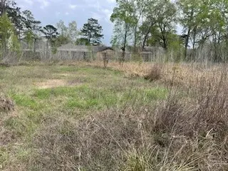 17135 Sprawling Oaks, Conroe, TX 77385 - #3