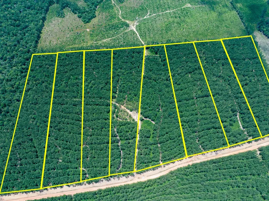 7 Benny Griffin Road, Livingston, TX 77351 - Image #2