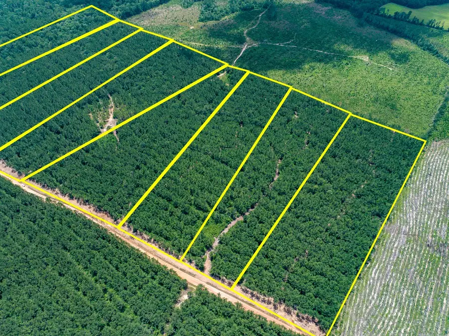 7 Benny Griffin Road, Livingston, TX 77351 - Image #3