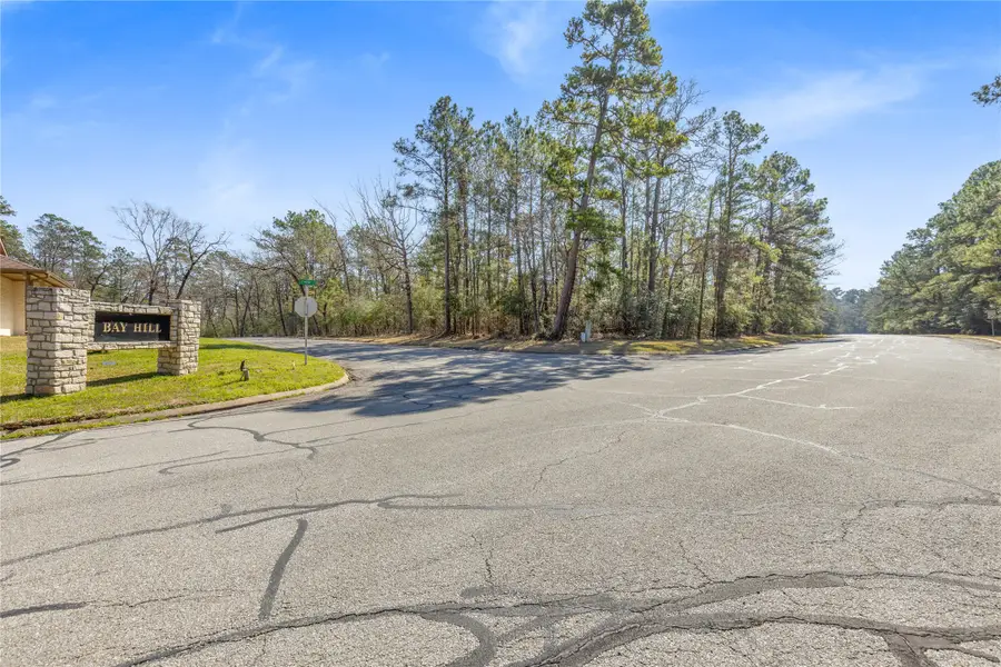 Lot 5 Bay Hill Road, Huntsville, TX 77320 - #2
