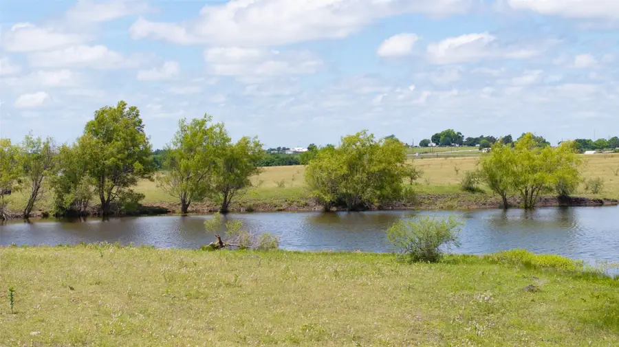 5661 Chadwick Hogan Road, Chappell Hill, TX 77426 - #3