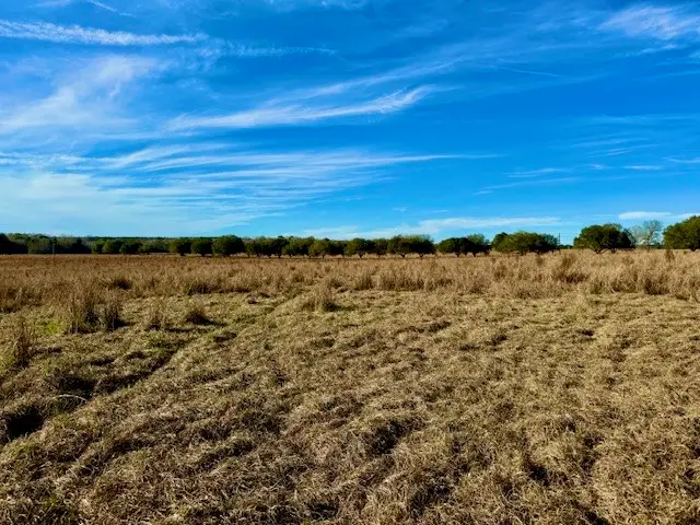 Lot 103 Lakeland Drive, Hillister, TX 77624 - Image #3