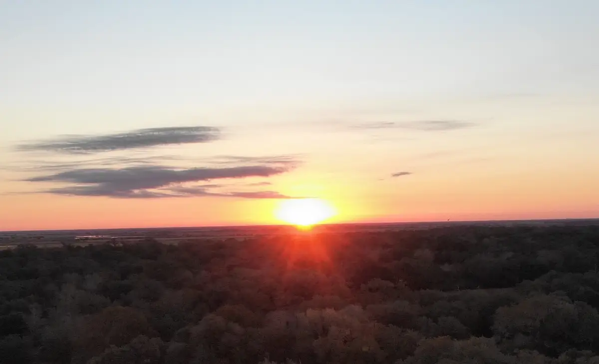 1044 Reeves Road, Garwood, TX 77442 - #1