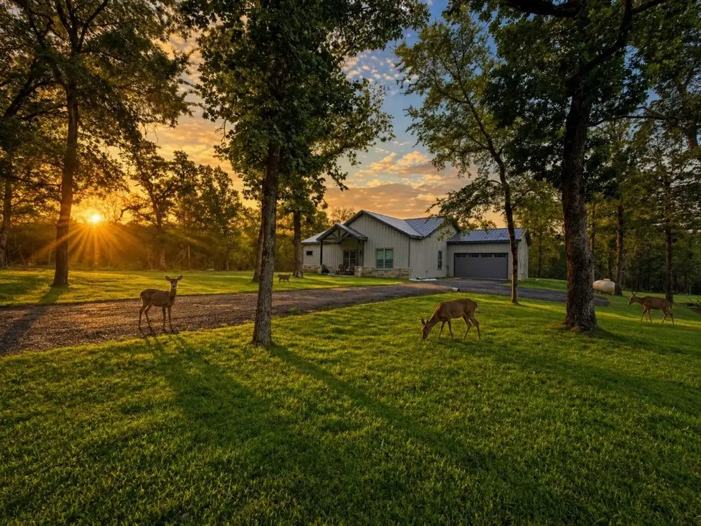 176 Cr 770, Donie, TX 75838 - #1