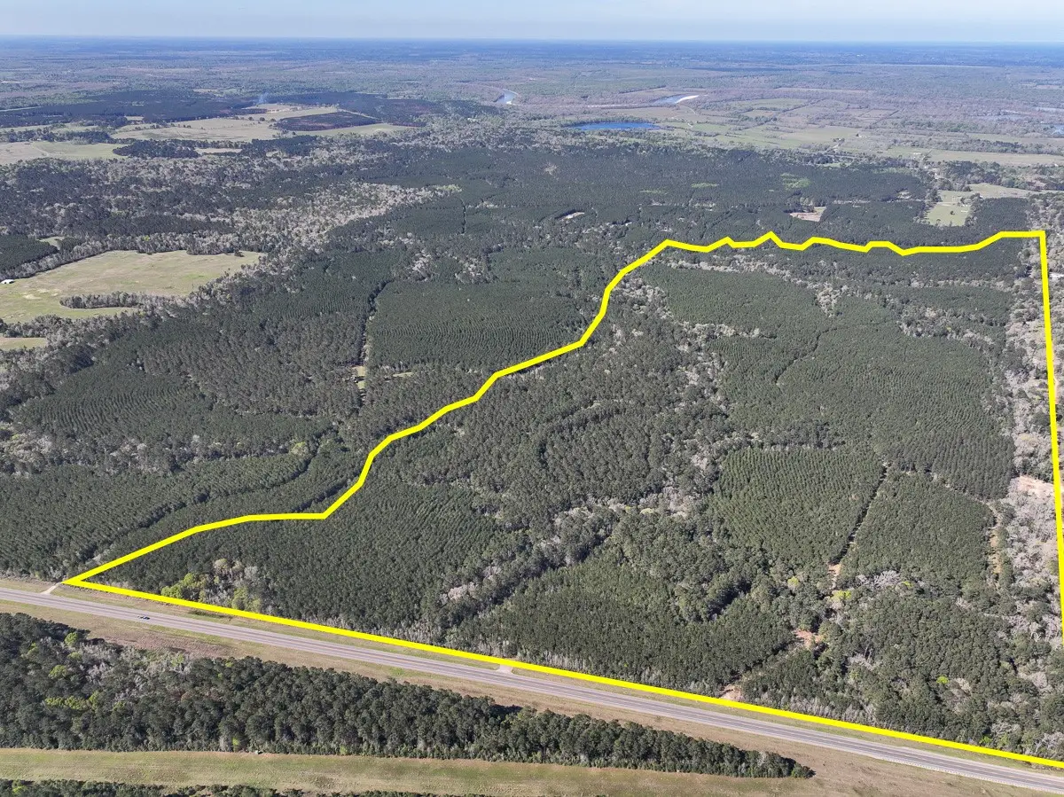 5 Highway 146, Livingston, TX 77351 - #1