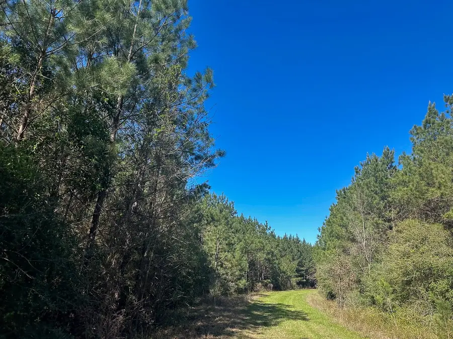 5 Highway 146, Livingston, TX 77351 - #2