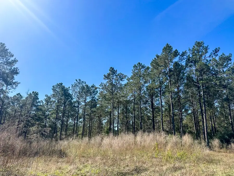 5 Highway 146, Livingston, TX 77351 - #3