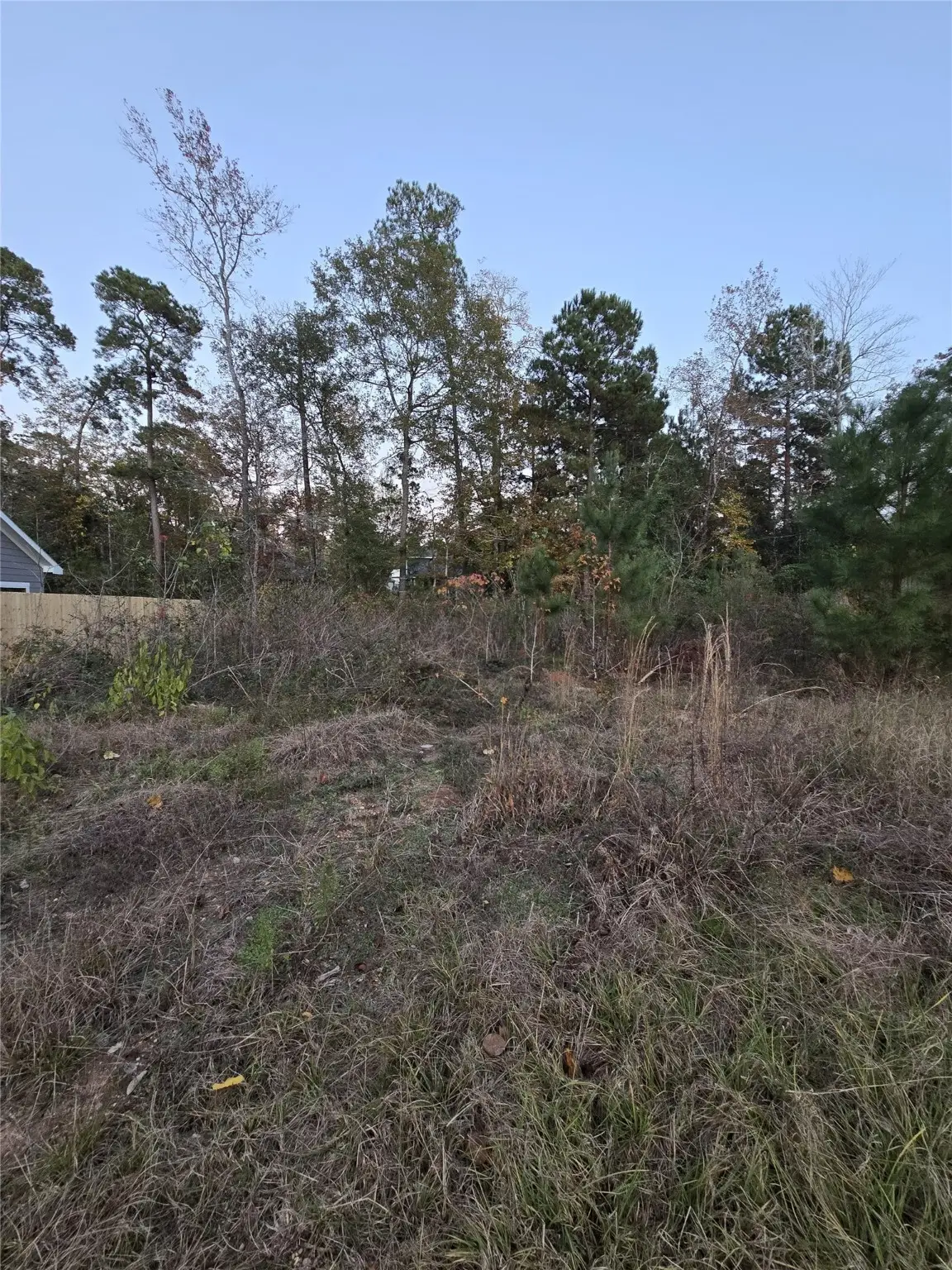 TBD Indian Creek Circle, Willis, TX 77378 - Image #1