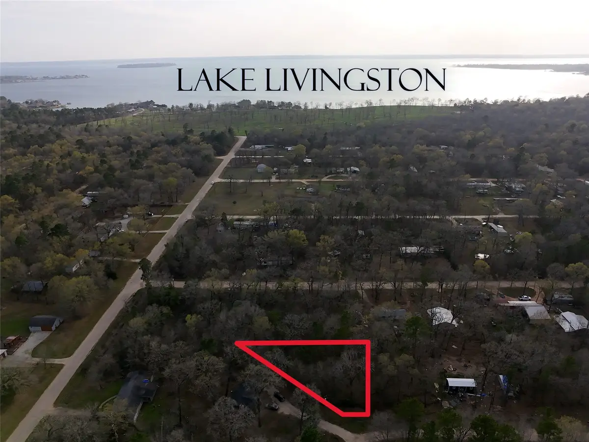 TBD Mossy Drive, Livingston, TX 77351 - #1
