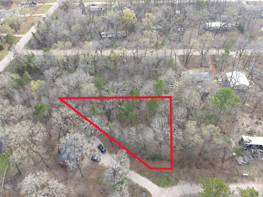 TBD Mossy Drive, Livingston, TX 77351 - #2