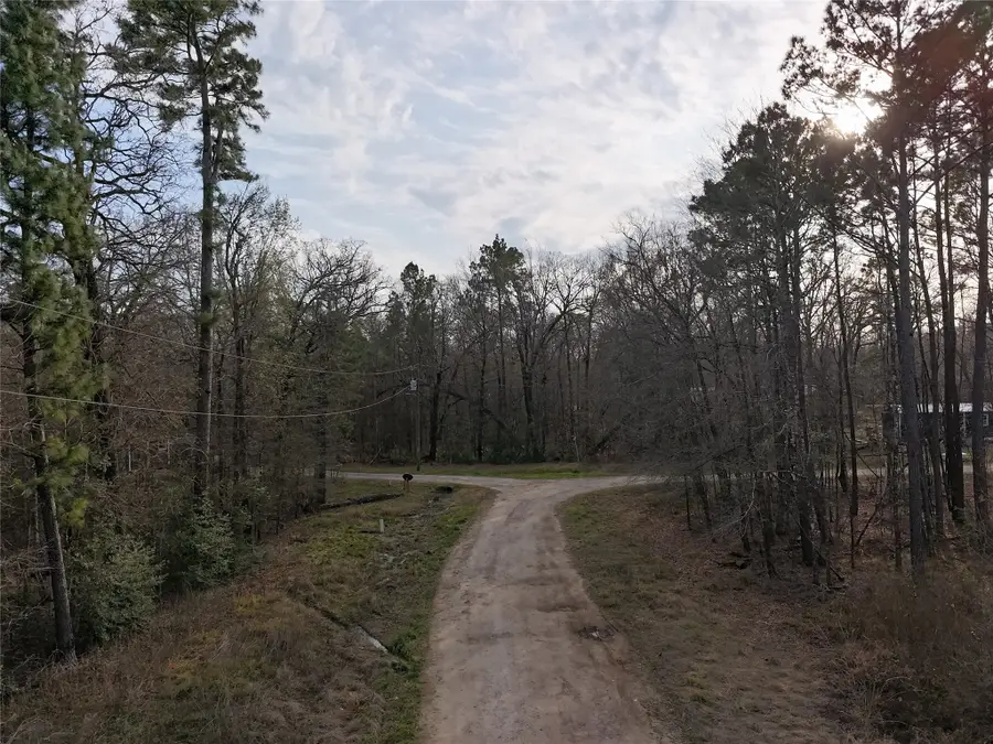 TBD Mossy Drive, Livingston, TX 77351 - #3
