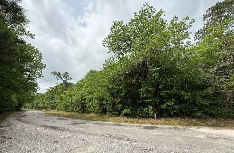 TBD W Fm 1374 Rd, Huntsville, TX 77340 - #3