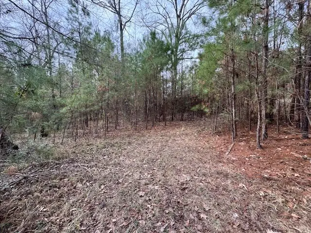 2226 Wells Landing Road, Onalaska, TX 77360 - #1