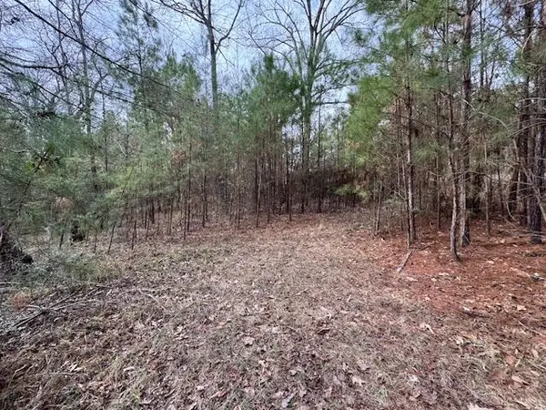 2226 Wells Landing Road, Onalaska, TX 77360