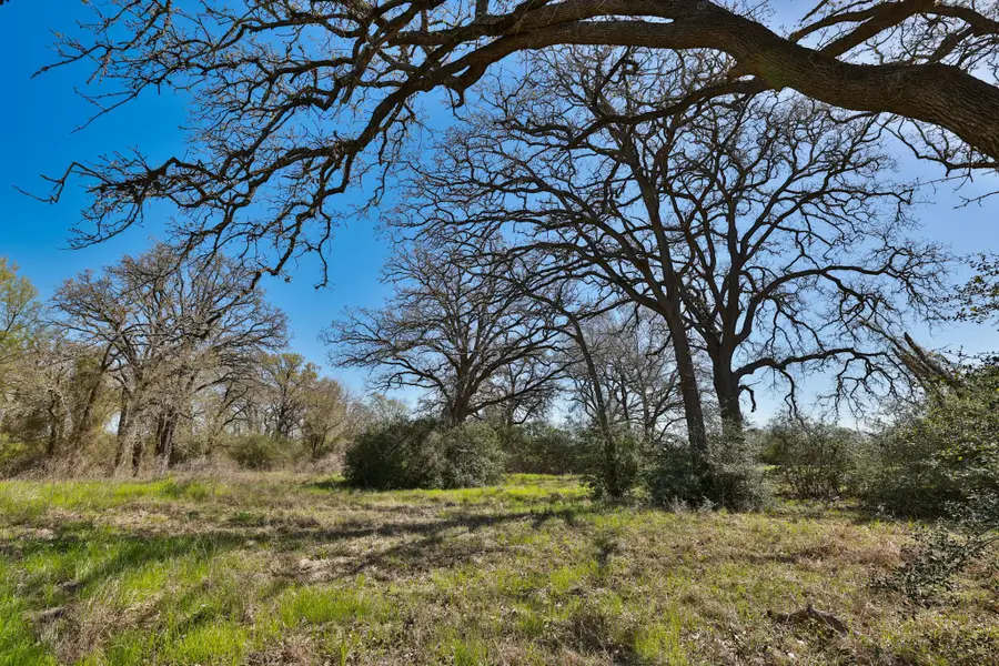 21100 Telephone Road, Hempstead, TX 77445 - #2