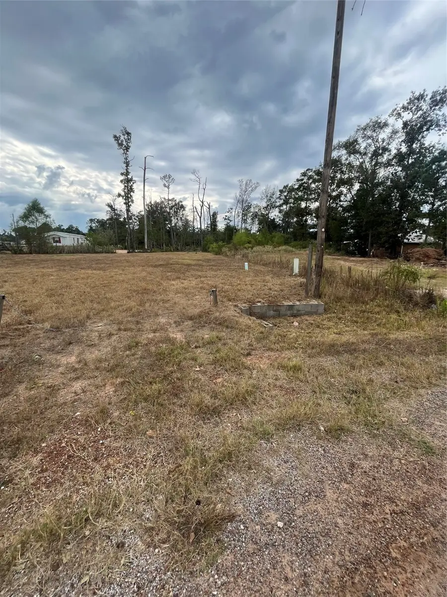 14878 Forest Castle Road, Conroe, TX 77306 - Image #2