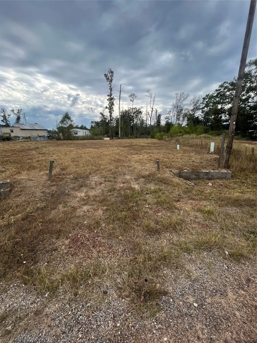 14878 Forest Castle Road, Conroe, TX 77306 - Image #3