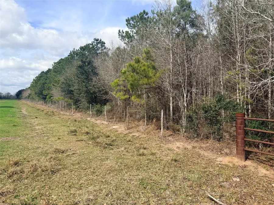 TBD Fm 160 S Mlk, Liberty, TX 77575 - #2