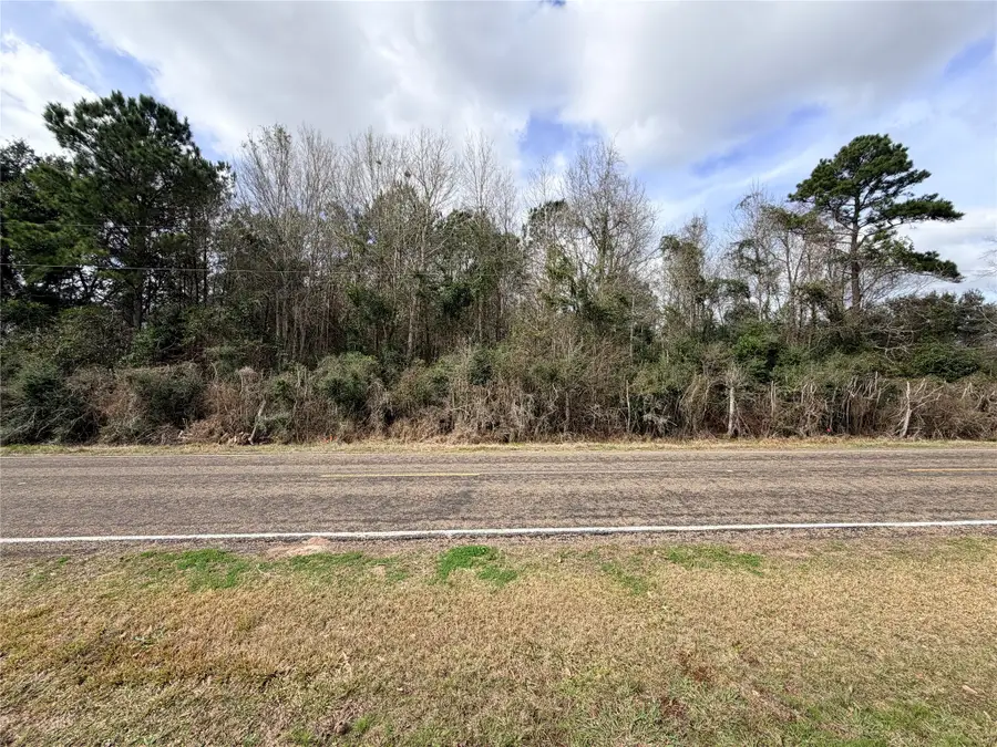 TBD Fm 160 S Mlk, Liberty, TX 77575 - #3