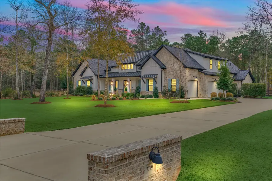 7709 Dog Wood Acres Drive, Montgomery, TX 77316 - #2