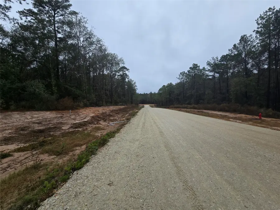 142 Splendid Road, New Waverly, TX 77358 - Image #2