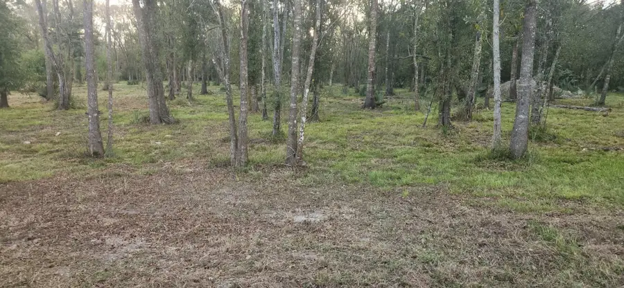 0 Cr-409, Sweeny, TX 77480 - #3