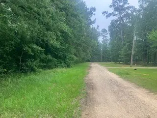 000 Wildwood Flower Circle, Livingston, TX 77351 - #1