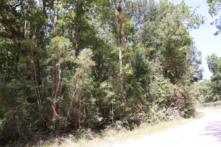 TBD Garcia Road, Batson, TX 77519 - #3