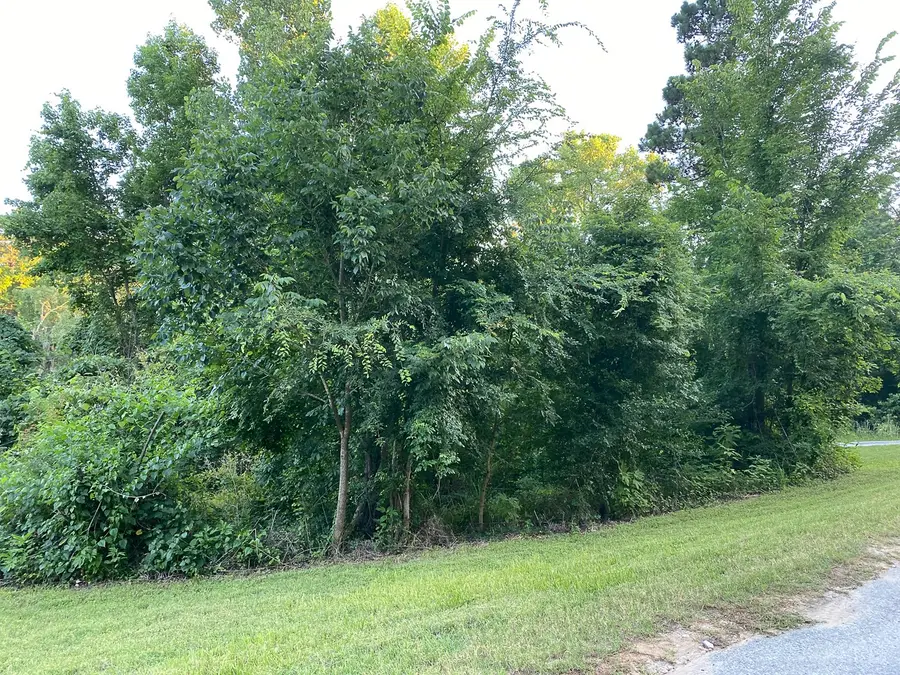 00 White Oak Drive, Point Blank, TX 77364 - #3