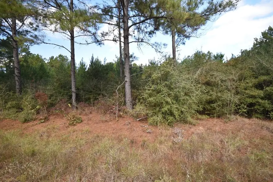 0 Bo Brown Road, Trinity, TX 75862 - Image #2