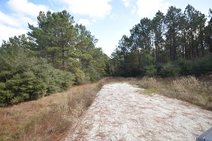 0 Bo Brown Road, Trinity, TX 75862 - Image #3