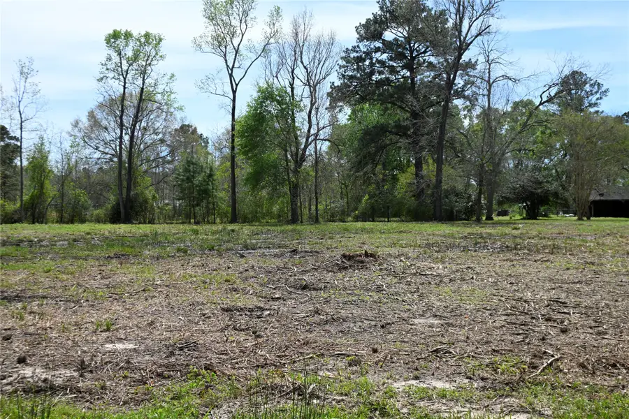 lot 2 County Road 2360, Hardin, TX 77575 - #3