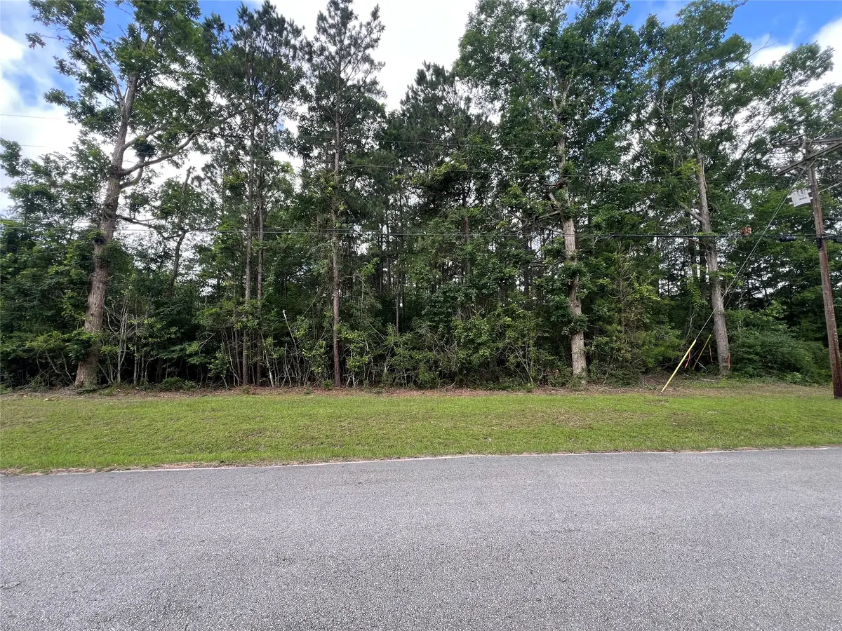 319 Lost Lake Trail, Livingston, TX 77351 - #1