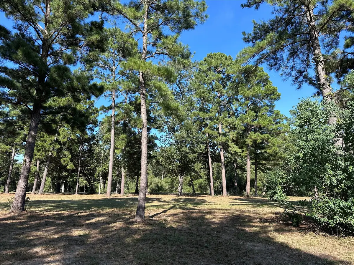 5.3 AC tbd -2 Spring Branch Rd, Montgomery, TX 77316 - #1