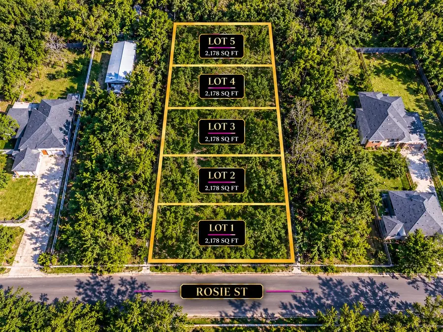 823 Rosie Street, Houston, TX 77091 - #3