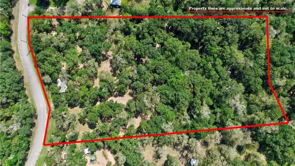 22722 County Road 384 A, Damon, TX 77430