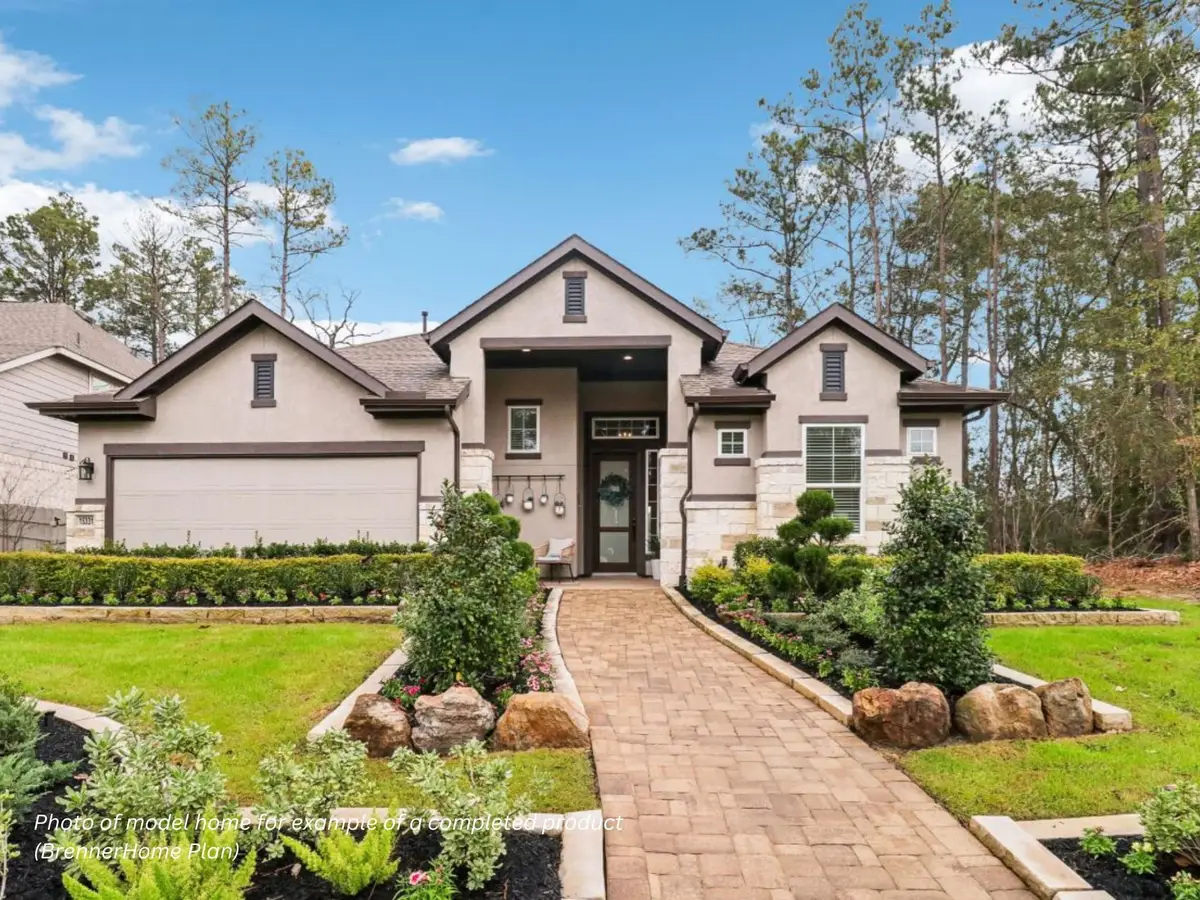 16851 Deep Wingbeat Way, Magnolia, TX 77354 - #1