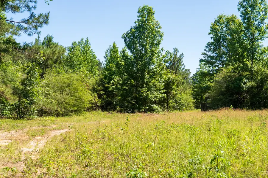 00 Fm 3016, Grapeland, TX 75844 - #2