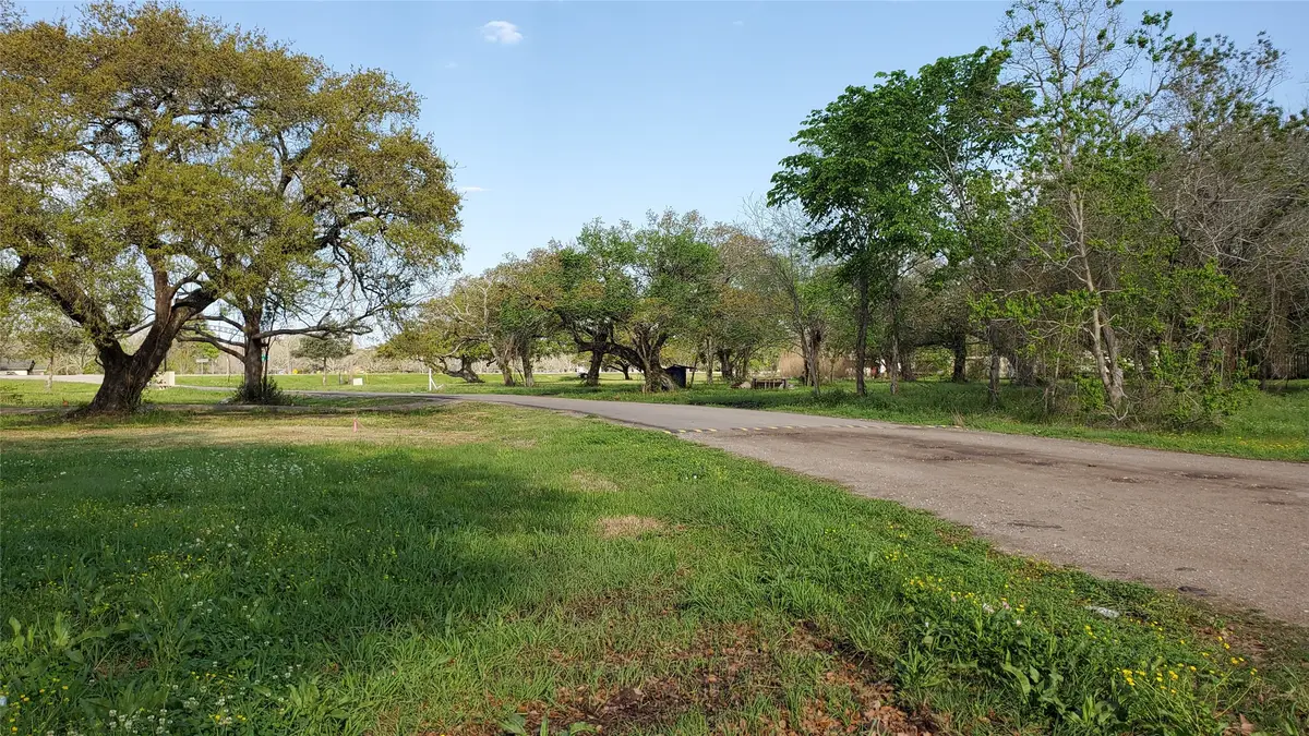 191 Country Oaks Street, Brazoria, TX 77422 - #1