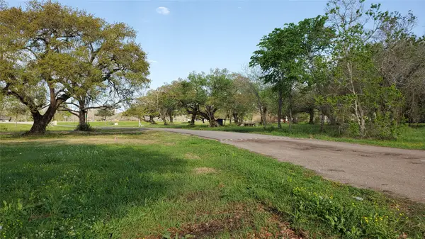 191 Country Oaks Street, Brazoria, TX 77422