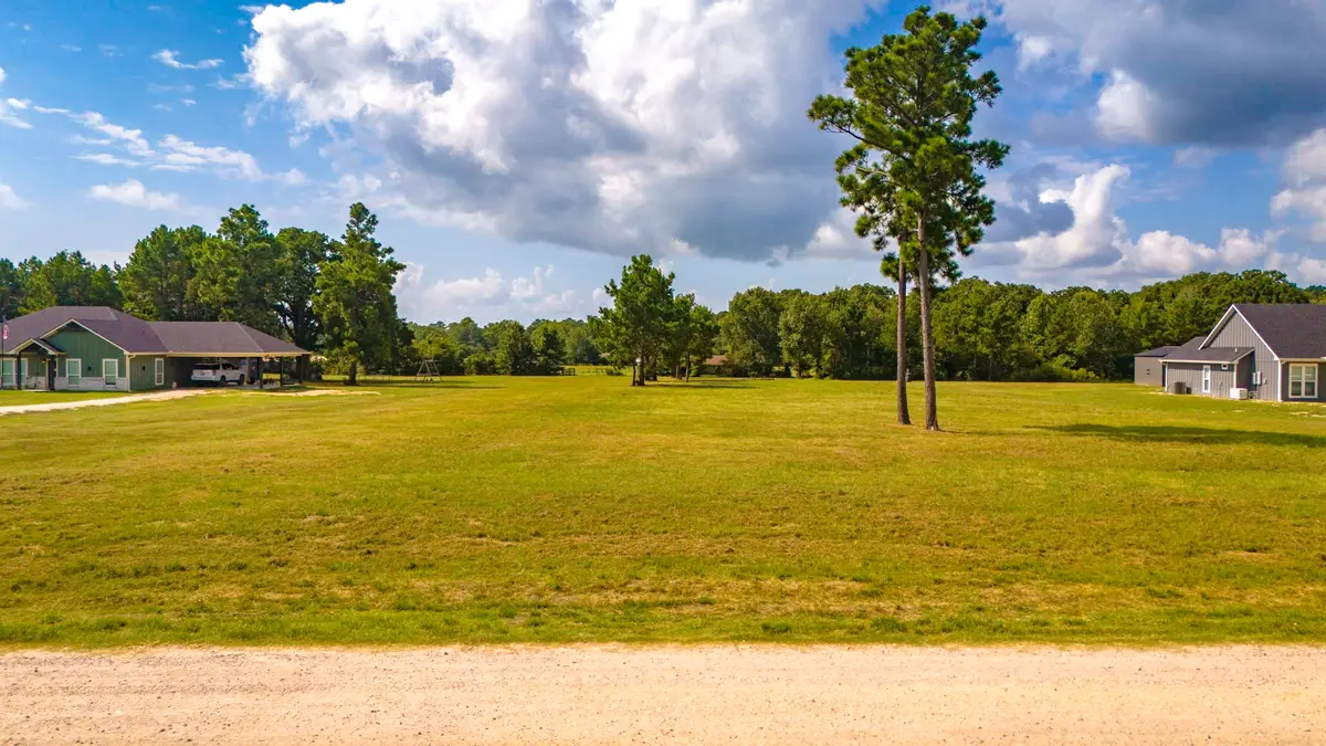 350 Brushy Creek Drive, Onalaska, TX 77360 - #1
