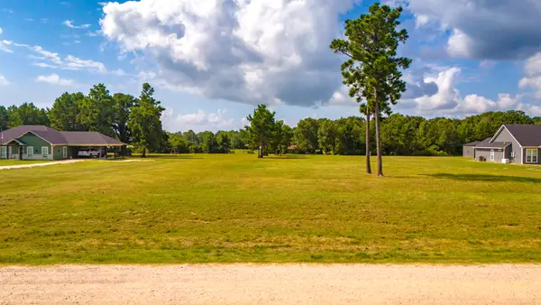 350 Brushy Creek Drive, Onalaska, TX 77360