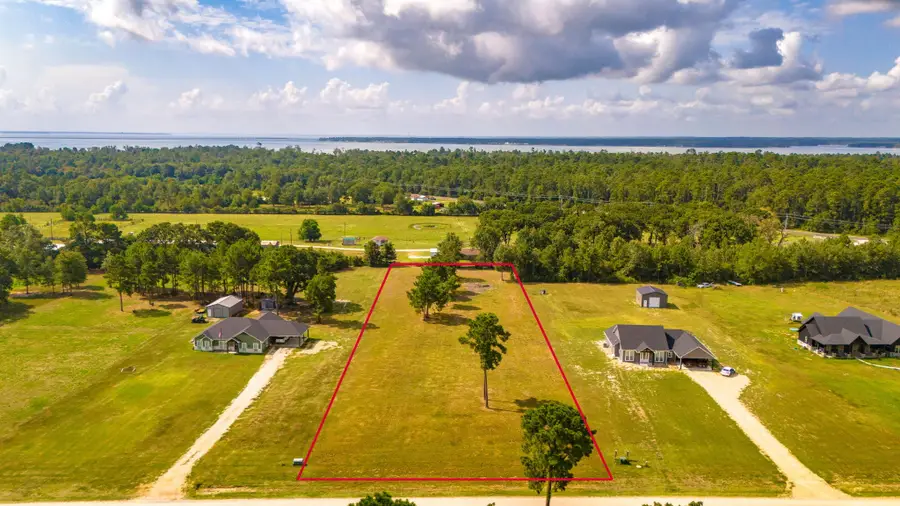 350 Brushy Creek Drive, Onalaska, TX 77360 - #2