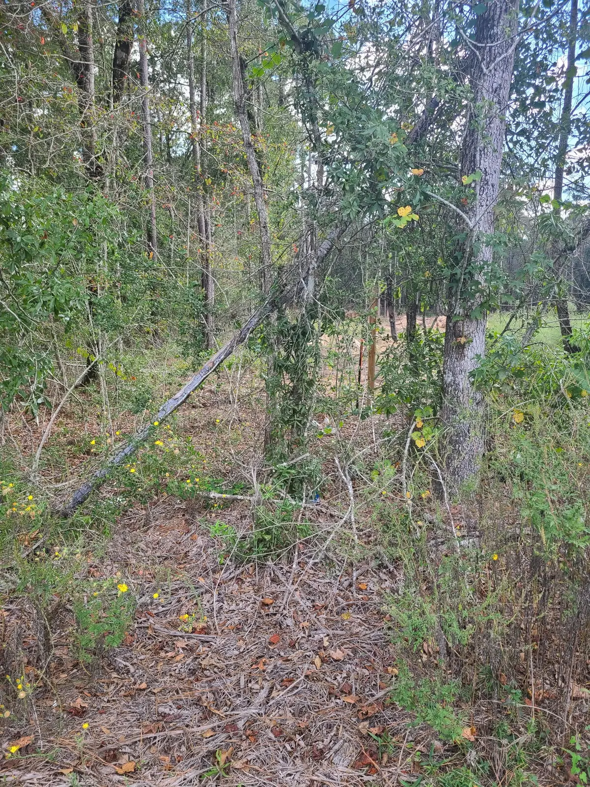 TBD Fostoria Tram, Cleveland, TX 77328 - #1
